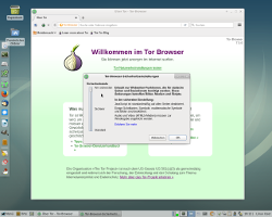 Anonymität mit dem Tor-Browser mit hoher Sicherheitseinstellung